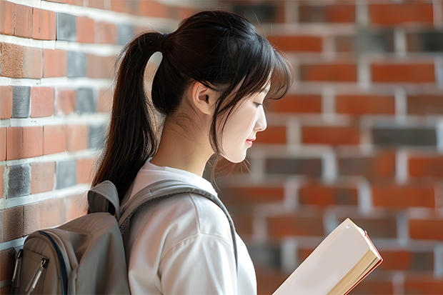 500分可以上一本大学吗