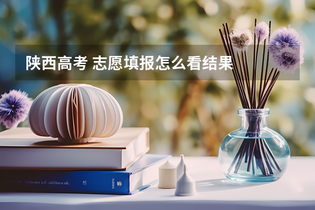 陕西高考 志愿填报怎么看结果