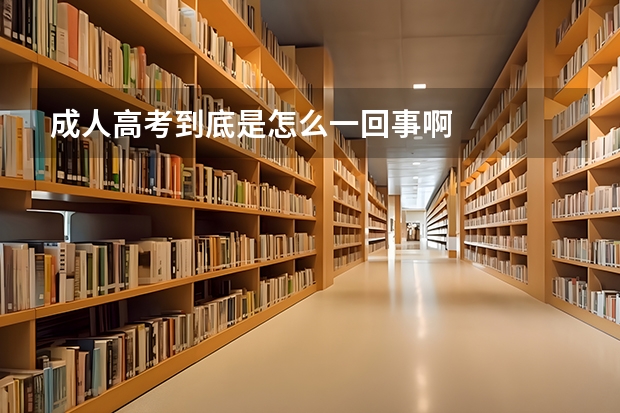 成人高考到底是怎么一回事啊