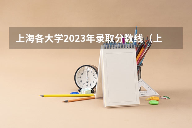 上海各大学2023年录取分数线（上海大学美术专业的分数线。）