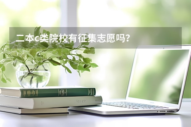 二本c类院校有征集志愿吗？