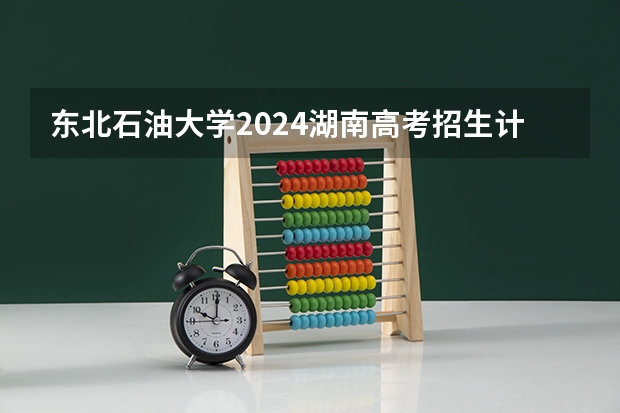 东北石油大学2024湖南高考招生计划 招多少人