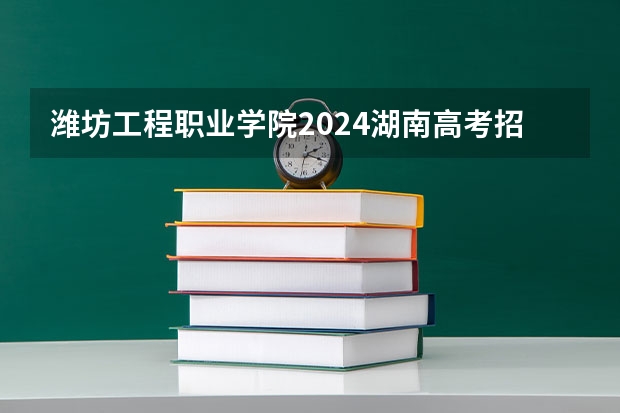 潍坊工程职业学院2024湖南高考招生计划 招多少人