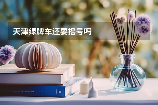 天津绿牌车还要摇号吗