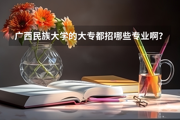 广西民族大学的大专都招哪些专业啊？！