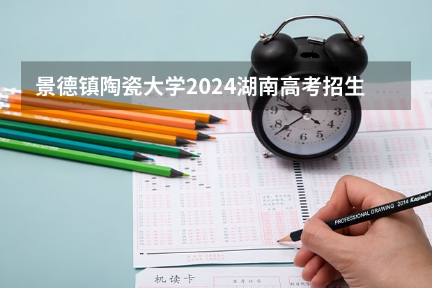 景德镇陶瓷大学2024湖南高考招生计划 招多少人