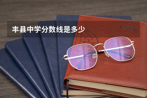 丰县中学分数线是多少