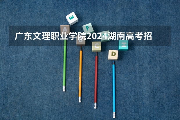 广东文理职业学院2024湖南高考招生计划 招多少人