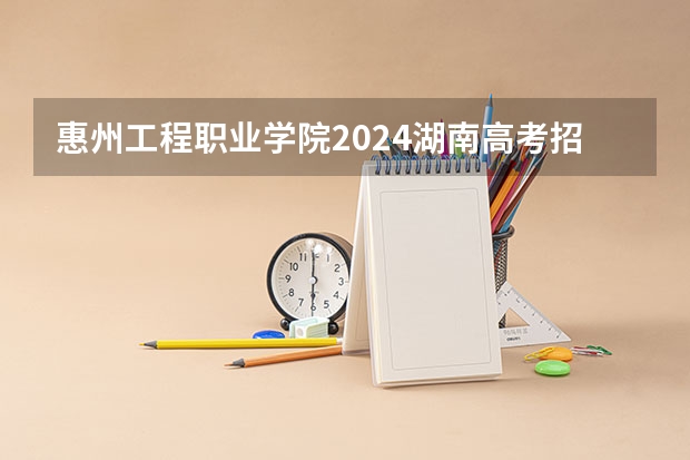 惠州工程职业学院2024湖南高考招生计划 招多少人
