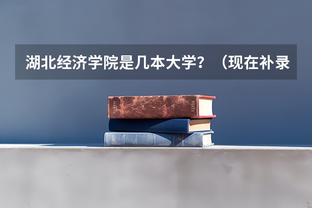 湖北经济学院是几本大学？（现在补录的学校有那些）
