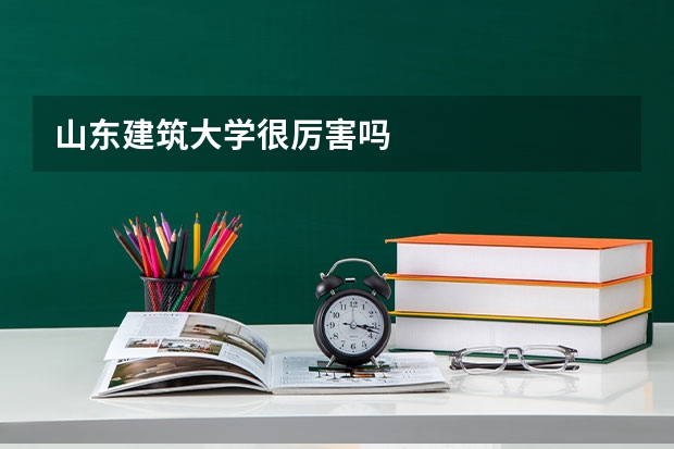 山东建筑大学很厉害吗