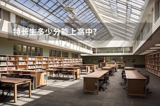 特长生多少分能上高中？