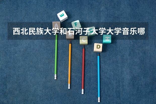 西北民族大学和石河子大学大学音乐哪个好一些
