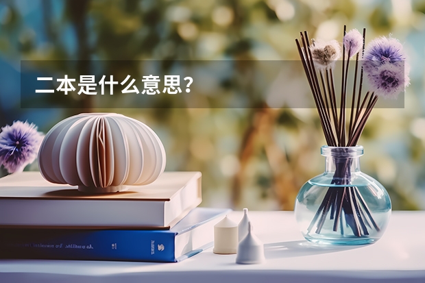 二本是什么意思？