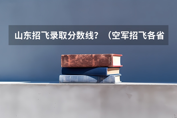 山东招飞录取分数线？（空军招飞各省录取人数）
