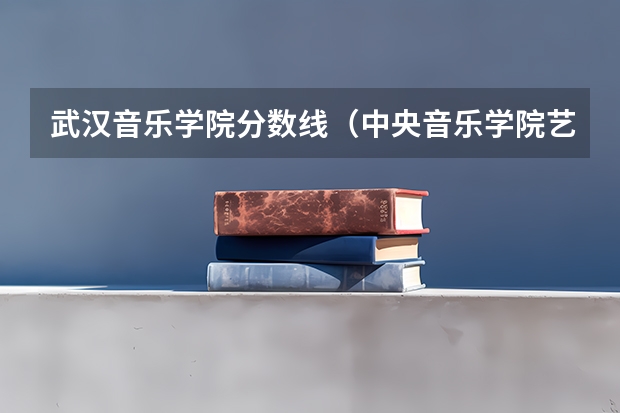 武汉音乐学院分数线（中央音乐学院艺考分数）
