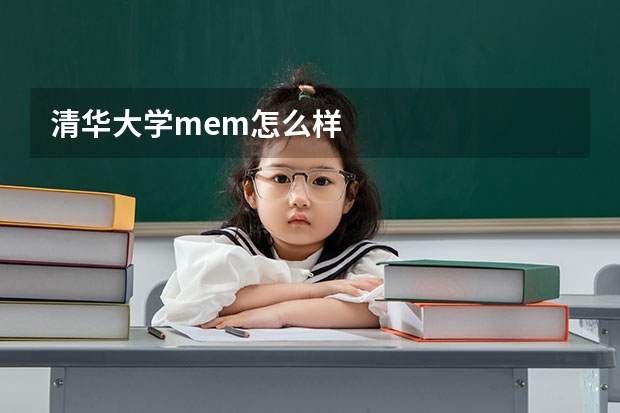 清华大学mem怎么样