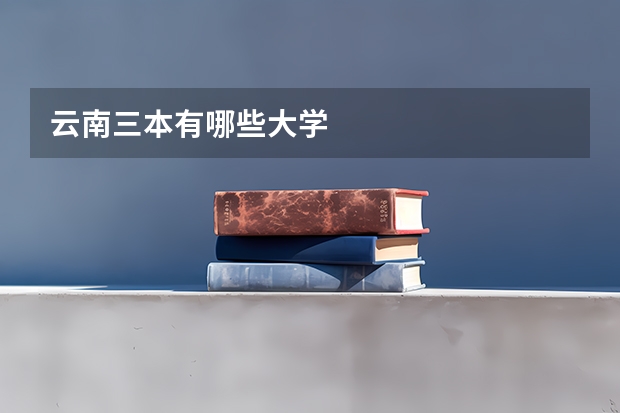 云南三本有哪些大学
