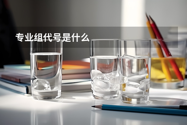 专业组代号是什么