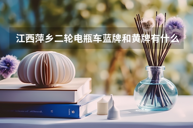 江西萍乡二轮电瓶车蓝牌和黄牌有什么区别