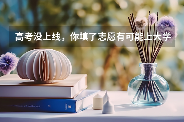 高考没上线，你填了志愿有可能上大学吗？