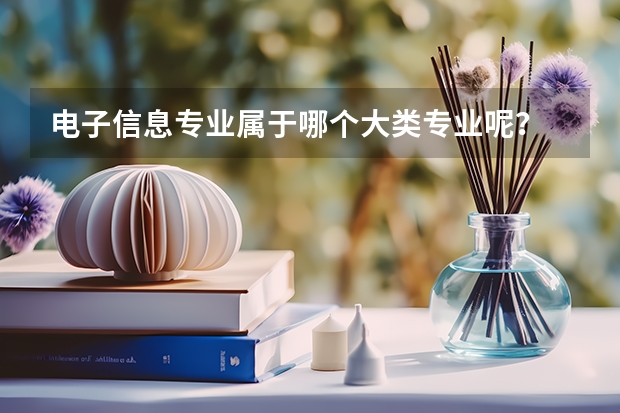 电子信息专业属于哪个大类专业呢？