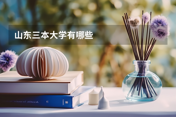 山东三本大学有哪些