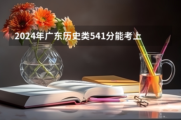 2024年广东历史类541分能考上什么大学？