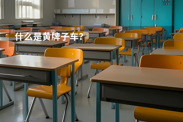 什么是黄牌子车？
