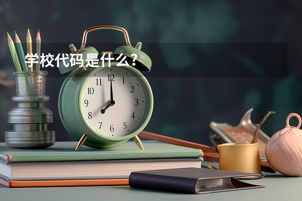 学校代码是什么?
