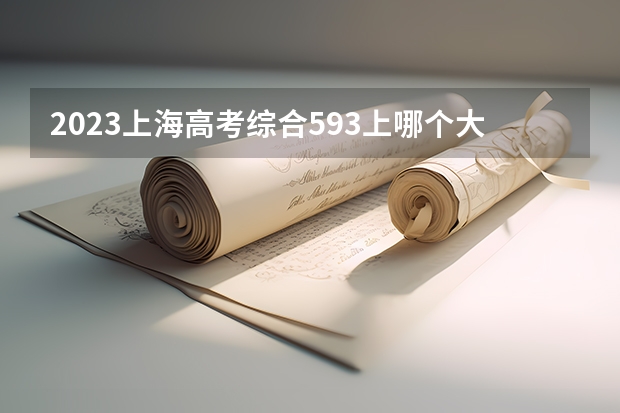 2023上海高考综合593上哪个大学合适