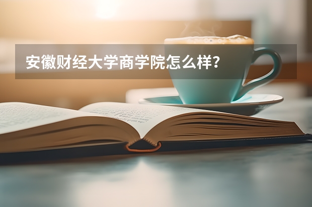 安徽财经大学商学院怎么样？