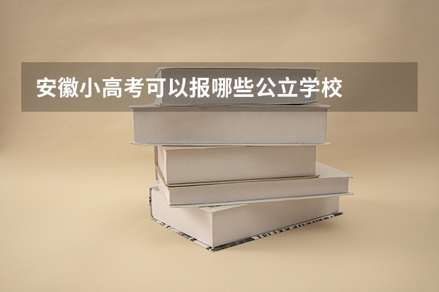 安徽小高考可以报哪些公立学校