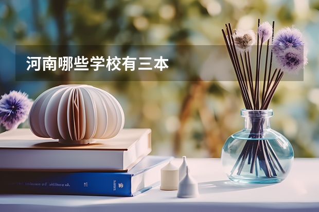 河南哪些学校有三本