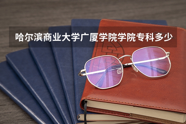 哈尔滨商业大学广厦学院学院专科多少分啊