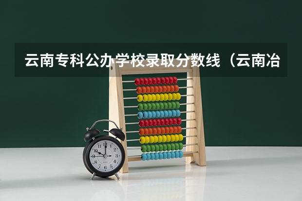 云南专科公办学校录取分数线(云南冶金高等专科学校三校生计算机专业录取分数线)