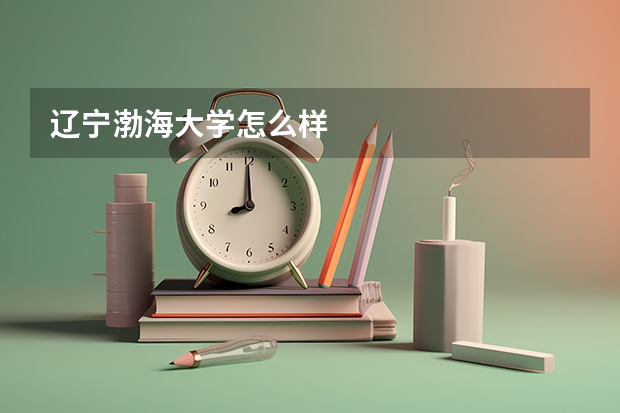 辽宁渤海大学怎么样