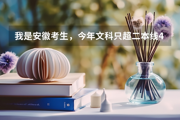 我是安徽考生，今年文科只超二本线4分，能上合肥师范学院或铜陵学院吗?