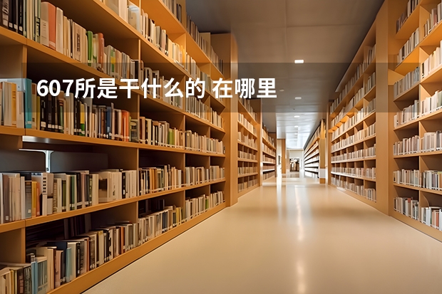 607所是干什么的 在哪里