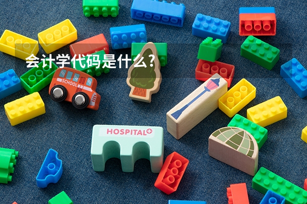 会计学代码是什么?