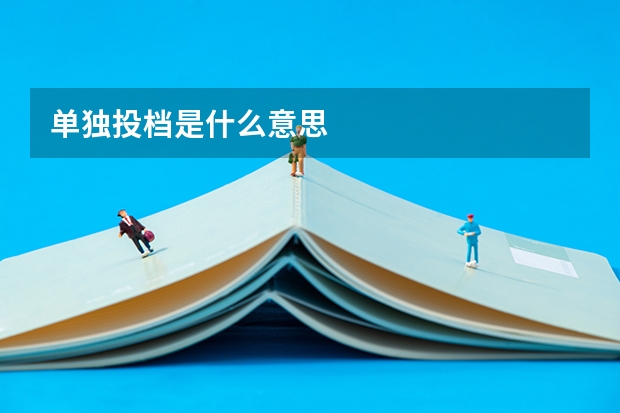 单独投档是什么意思