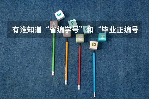 有谁知道“省编学号”和“毕业正编号”怎么填？