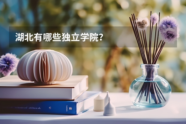 湖北有哪些独立学院？
