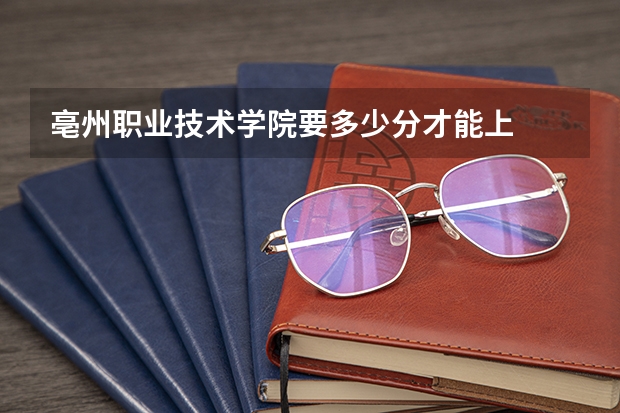 亳州职业技术学院要多少分才能上