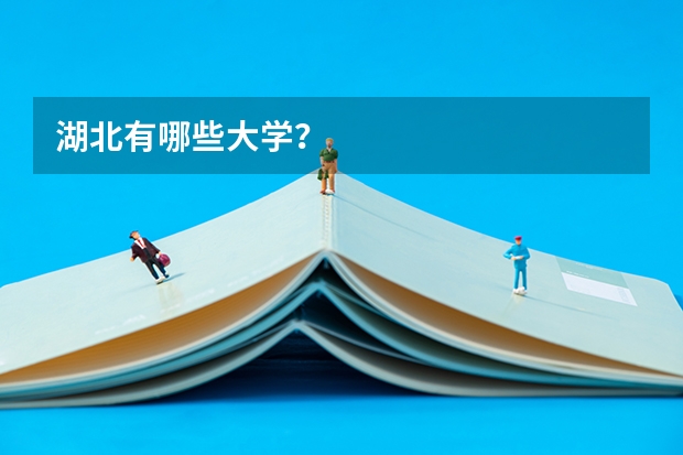 湖北有哪些大学?
