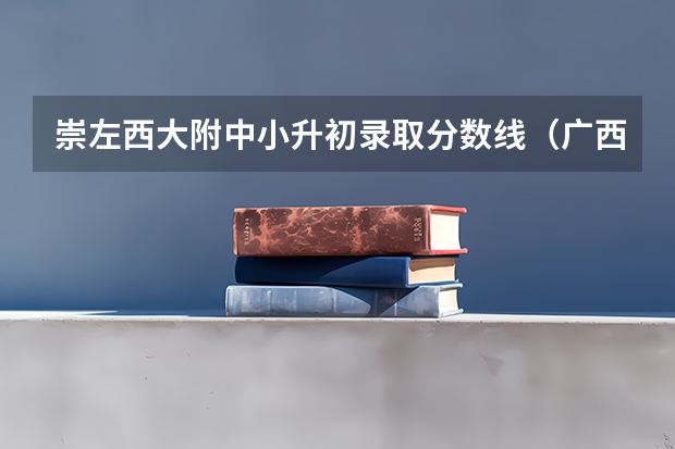 崇左西大附中小升初录取分数线(广西民族师范学院是公办还是民办大学?)