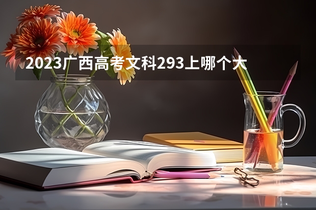 2023广西高考文科293上哪个大学合适