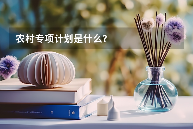 农村专项计划是什么？