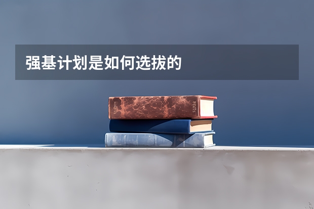 强基计划是如何选拔的