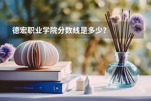 德宏职业学院分数线是多少？